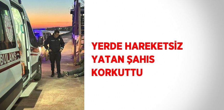 YERDE HAREKETSİZ YATAN ŞAHIS KORKUTTU