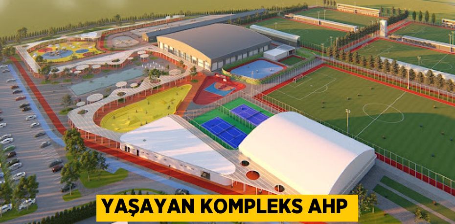 Yaşayan kompleks AHP