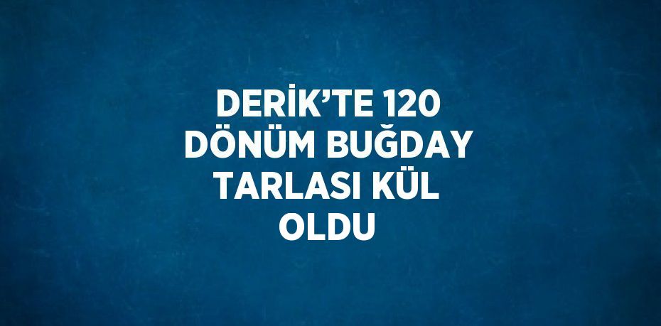 DERİK’TE 120 DÖNÜM BUĞDAY TARLASI KÜL OLDU