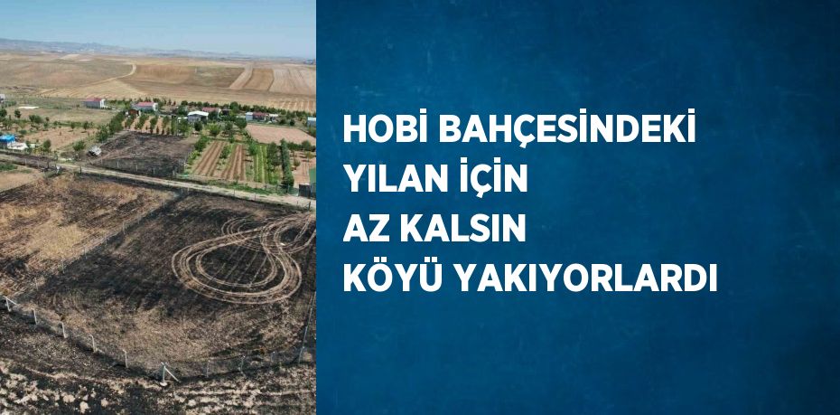 HOBİ BAHÇESİNDEKİ YILAN İÇİN AZ KALSIN KÖYÜ YAKIYORLARDI