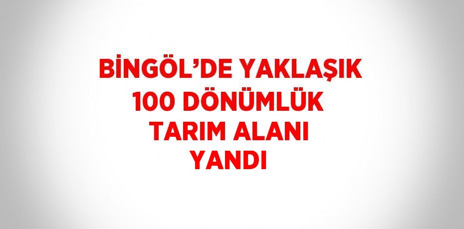 BİNGÖL’DE YAKLAŞIK 100 DÖNÜMLÜK TARIM ALANI YANDI