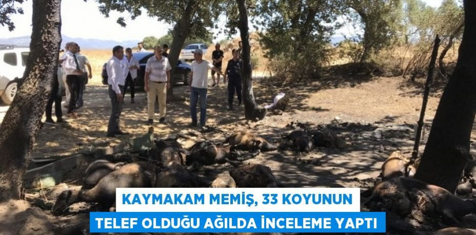 Kaymakam Memiş, 33 koyunun telef olduğu ağılda inceleme yaptı