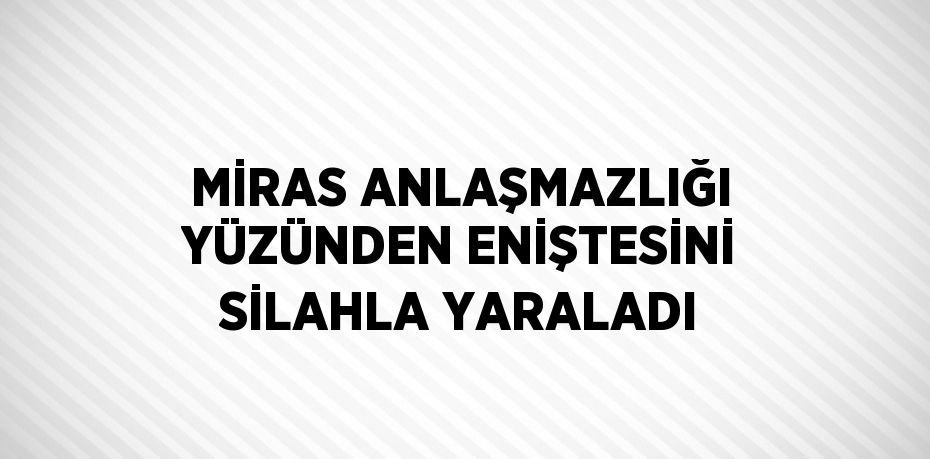 MİRAS ANLAŞMAZLIĞI YÜZÜNDEN ENİŞTESİNİ SİLAHLA YARALADI