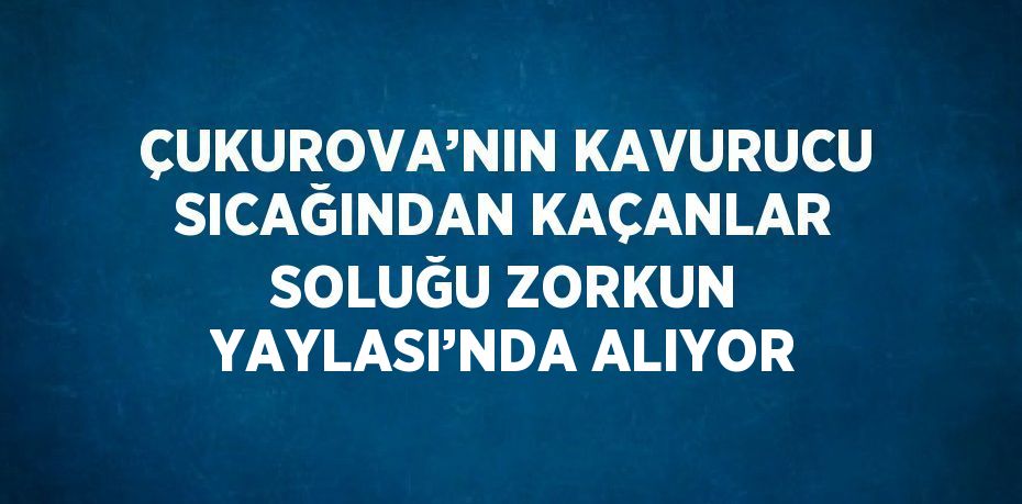 ÇUKUROVA’NIN KAVURUCU SICAĞINDAN KAÇANLAR SOLUĞU ZORKUN YAYLASI’NDA ALIYOR