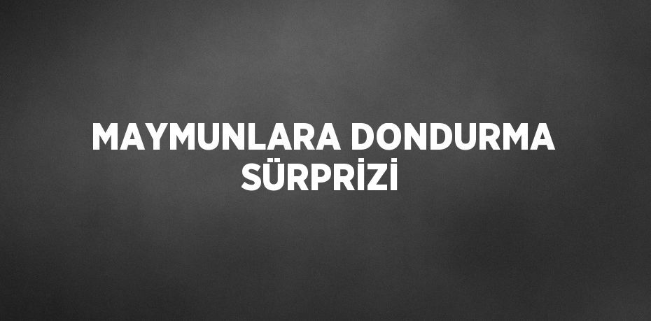 MAYMUNLARA DONDURMA SÜRPRİZİ