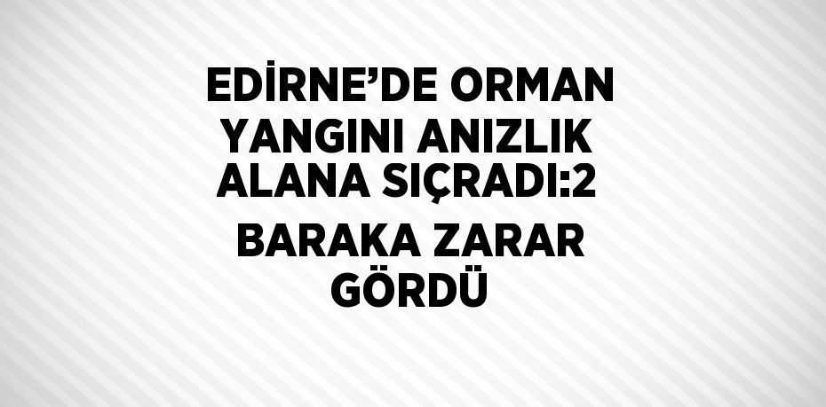 EDİRNE’DE ORMAN YANGINI ANIZLIK ALANA SIÇRADI:2 BARAKA ZARAR GÖRDÜ