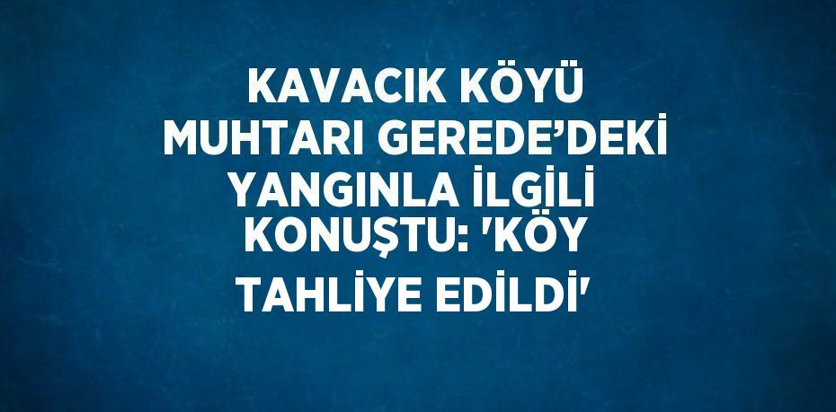 KAVACIK KÖYÜ MUHTARI GEREDE’DEKİ YANGINLA İLGİLİ KONUŞTU: 'KÖY TAHLİYE EDİLDİ'