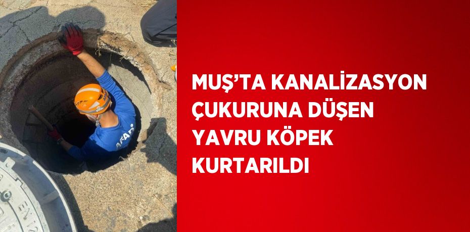 MUŞ’TA KANALİZASYON ÇUKURUNA DÜŞEN YAVRU KÖPEK KURTARILDI