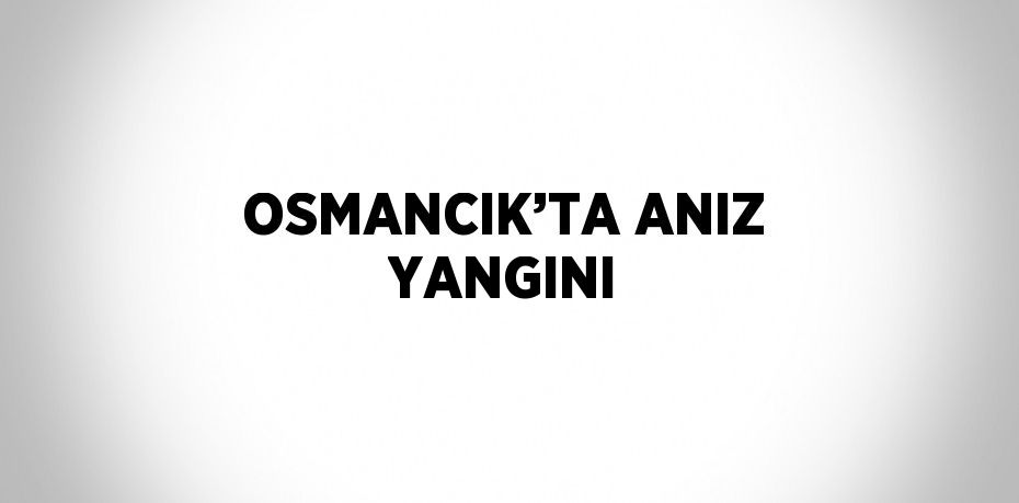 OSMANCIK’TA ANIZ YANGINI