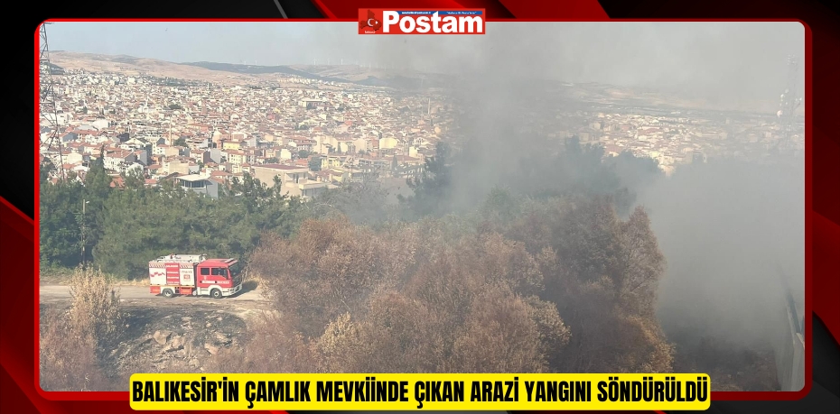 Balıkesir'in Çamlık mevkiinde çıkan arazi yangını söndürüldü  