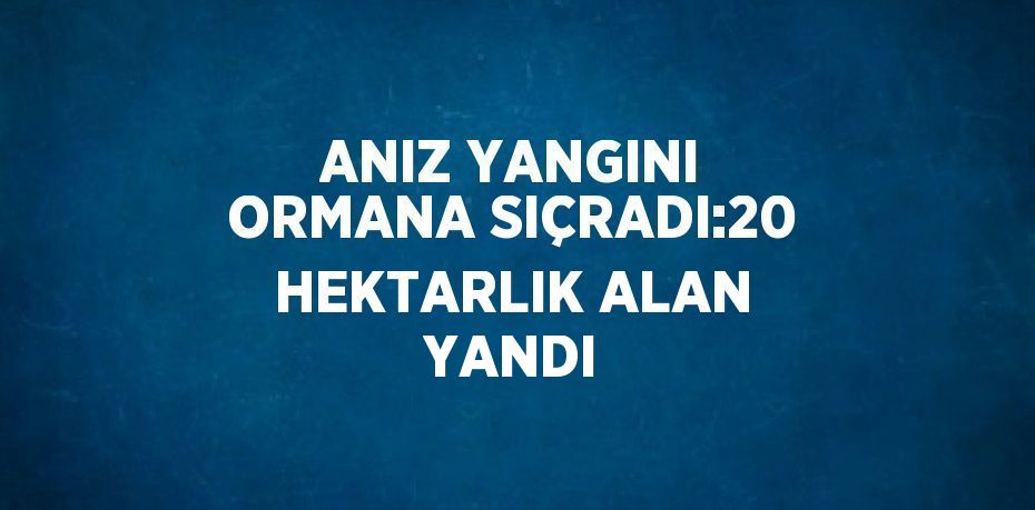 ANIZ YANGINI ORMANA SIÇRADI:20 HEKTARLIK ALAN YANDI