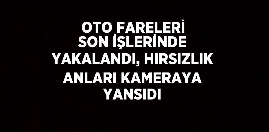 OTO FARELERİ SON İŞLERİNDE YAKALANDI, HIRSIZLIK ANLARI KAMERAYA YANSIDI