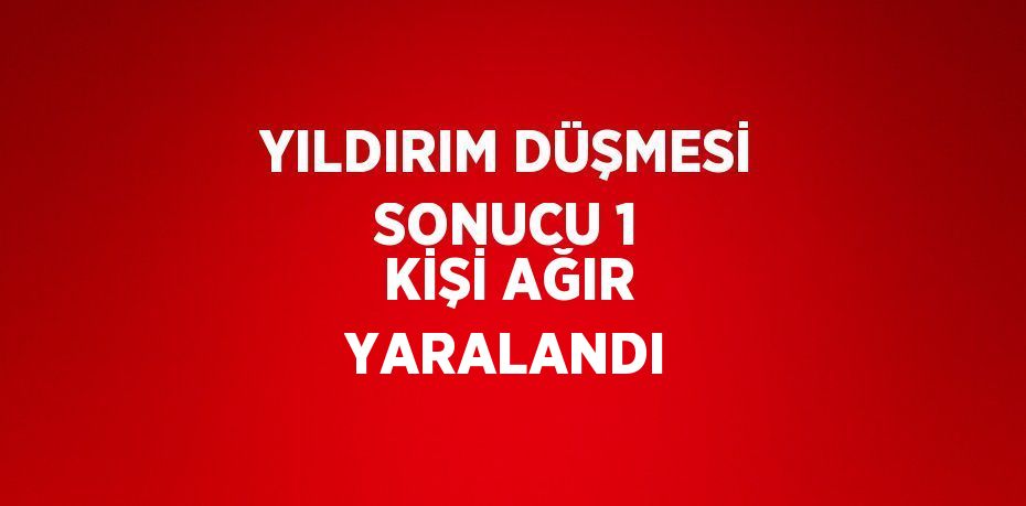 YILDIRIM DÜŞMESİ SONUCU 1 KİŞİ AĞIR YARALANDI