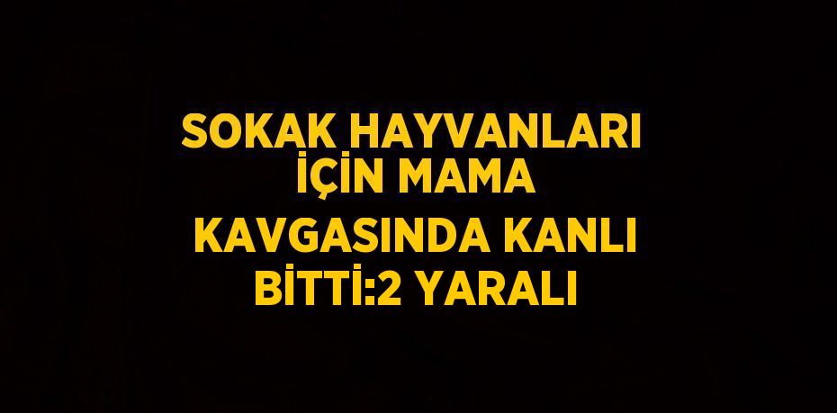 SOKAK HAYVANLARI İÇİN MAMA KAVGASINDA KANLI BİTTİ:2 YARALI