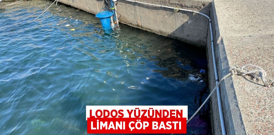 Lodos yüzünden limanı çöp bastı