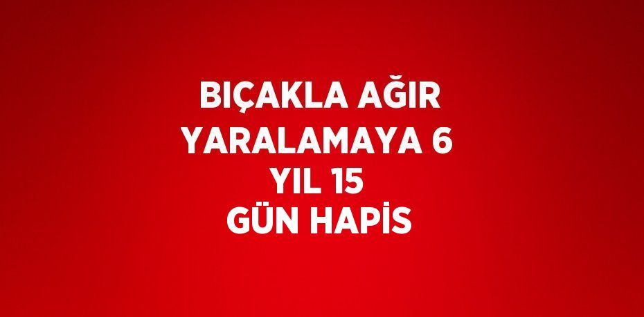 BIÇAKLA AĞIR YARALAMAYA 6 YIL 15 GÜN HAPİS