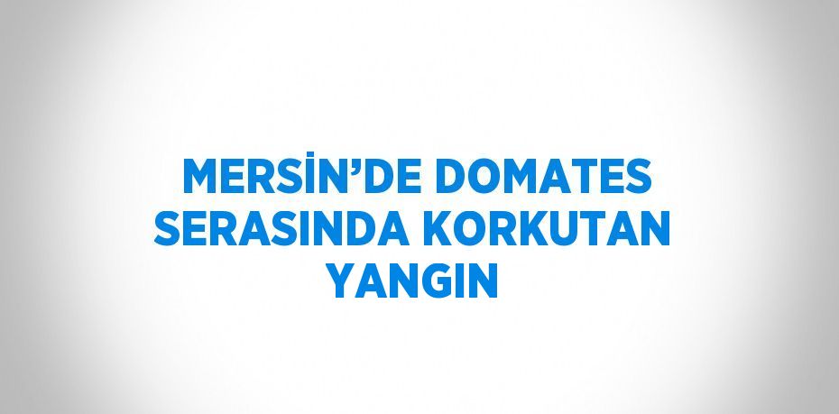 MERSİN’DE DOMATES SERASINDA KORKUTAN YANGIN