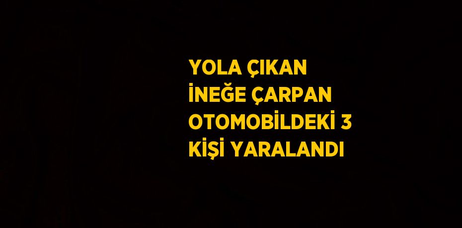 YOLA ÇIKAN İNEĞE ÇARPAN OTOMOBİLDEKİ 3 KİŞİ YARALANDI