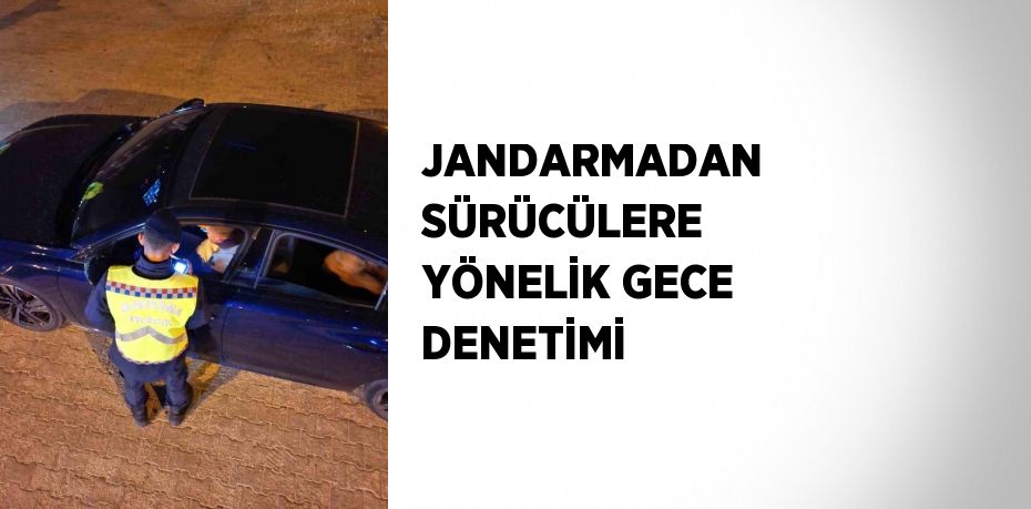 JANDARMADAN SÜRÜCÜLERE YÖNELİK GECE DENETİMİ