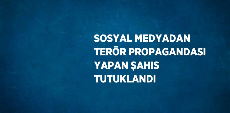 SOSYAL MEDYADAN TERÖR PROPAGANDASI YAPAN ŞAHIS TUTUKLANDI