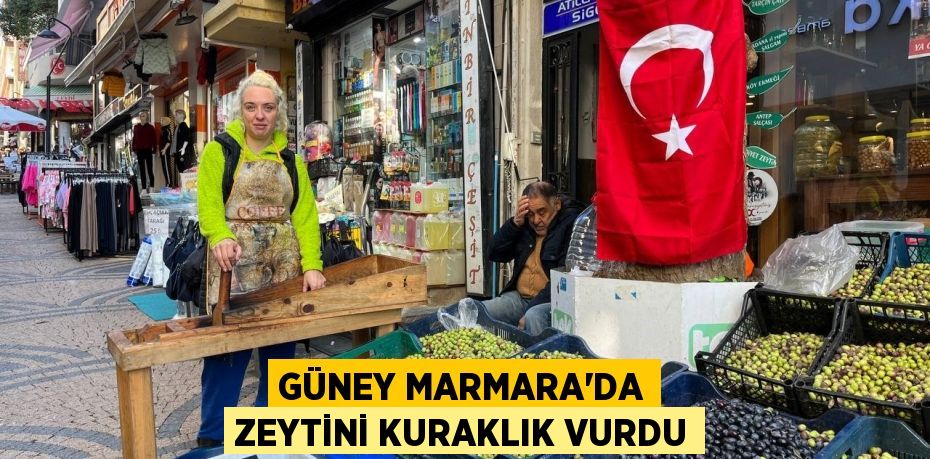 Güney Marmara'da zeytini kuraklık vurdu