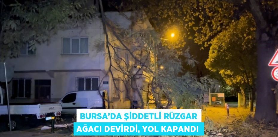 BURSA’DA ŞİDDETLİ RÜZGAR AĞACI DEVİRDİ, YOL KAPANDI