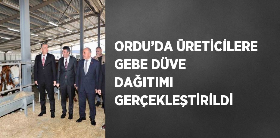 ORDU’DA ÜRETİCİLERE GEBE DÜVE DAĞITIMI GERÇEKLEŞTİRİLDİ