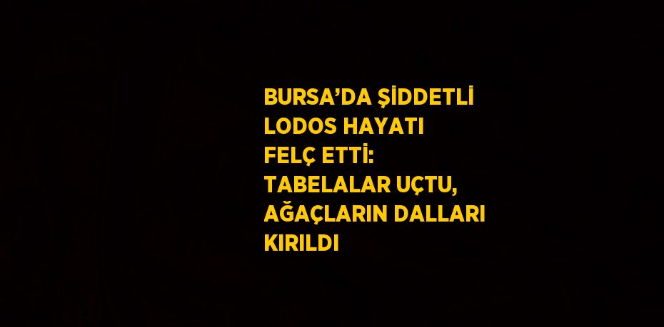 BURSA’DA ŞİDDETLİ LODOS HAYATI FELÇ ETTİ: TABELALAR UÇTU, AĞAÇLARIN DALLARI KIRILDI