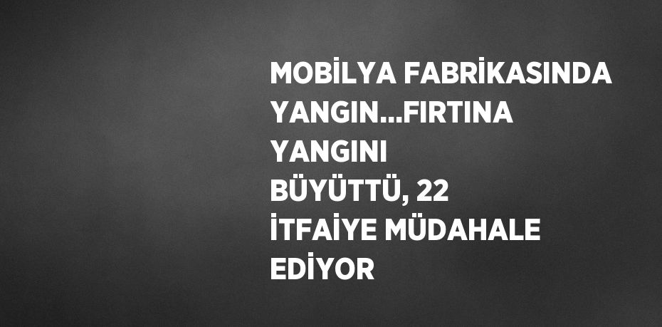 MOBİLYA FABRİKASINDA YANGIN...FIRTINA YANGINI BÜYÜTTÜ, 22 İTFAİYE MÜDAHALE EDİYOR