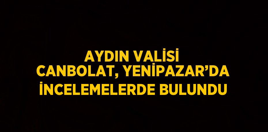 AYDIN VALİSİ CANBOLAT, YENİPAZAR’DA İNCELEMELERDE BULUNDU