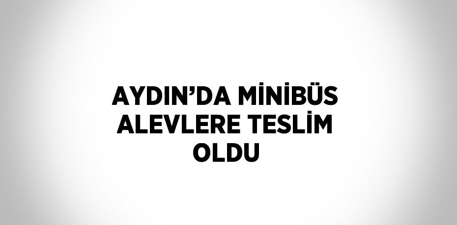 AYDIN’DA MİNİBÜS ALEVLERE TESLİM OLDU