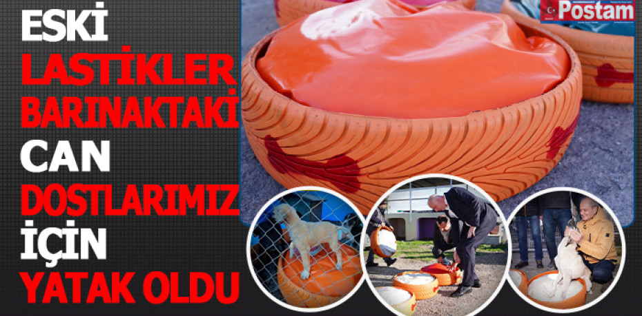 ESKİ LASTİKLER CANLARA YATAK OLDU