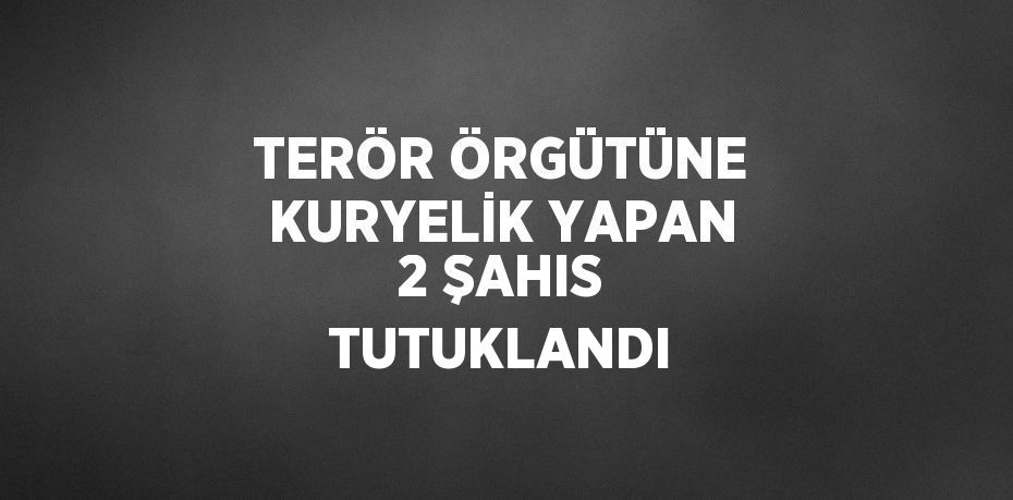 TERÖR ÖRGÜTÜNE KURYELİK YAPAN 2 ŞAHIS TUTUKLANDI