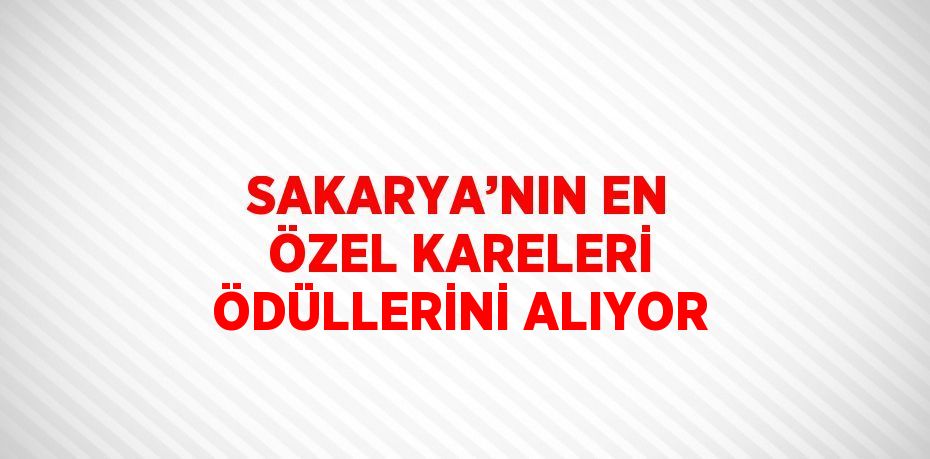 SAKARYA’NIN EN ÖZEL KARELERİ ÖDÜLLERİNİ ALIYOR