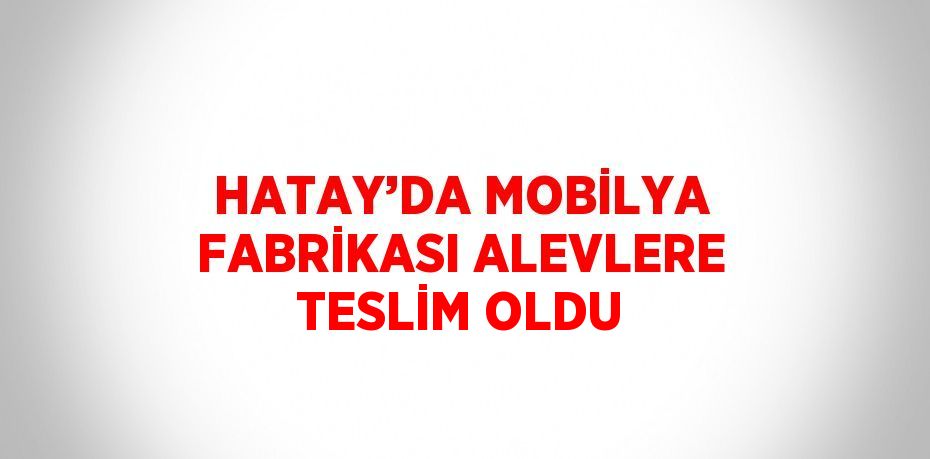 HATAY’DA MOBİLYA FABRİKASI ALEVLERE TESLİM OLDU