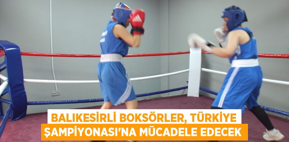 Balıkesirli boksörler, Türkiye Şampiyonası'na mücadele edecek