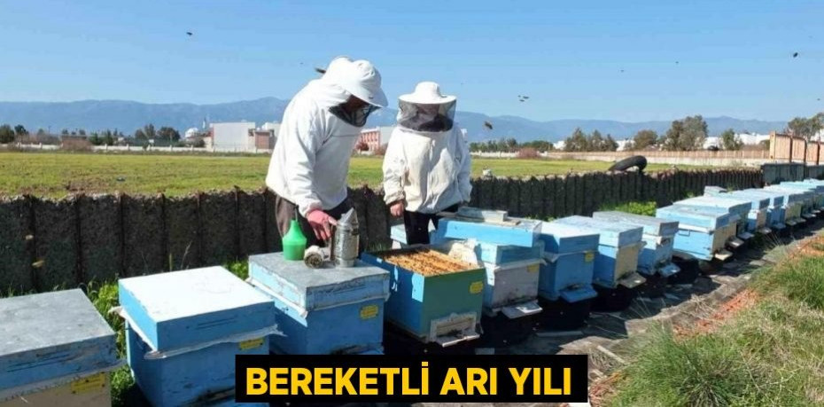 Bereketli arı yılı