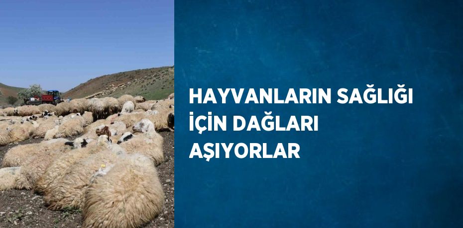 HAYVANLARIN SAĞLIĞI İÇİN DAĞLARI AŞIYORLAR