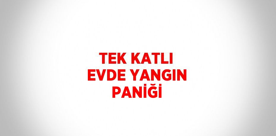 TEK KATLI EVDE YANGIN PANİĞİ