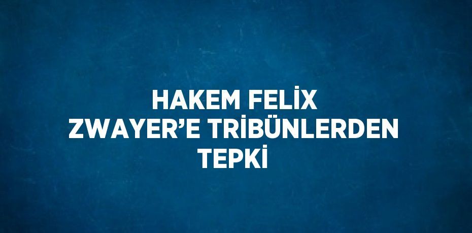 HAKEM FELİX ZWAYER’E TRİBÜNLERDEN TEPKİ