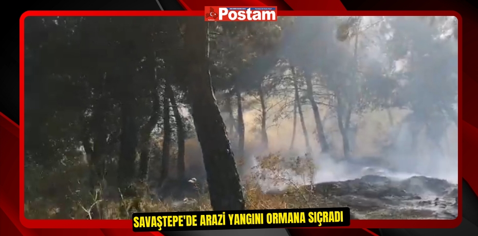 Savaştepe'de arazi yangını ormana sıçradı  