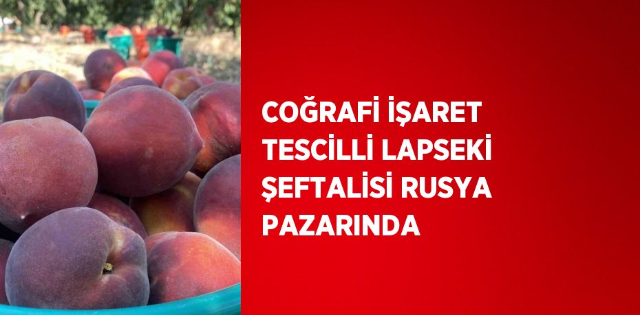 COĞRAFİ İŞARET TESCİLLİ LAPSEKİ ŞEFTALİSİ RUSYA PAZARINDA