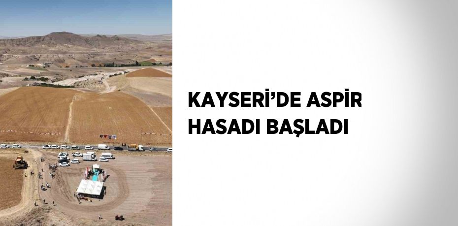 KAYSERİ’DE ASPİR HASADI BAŞLADI