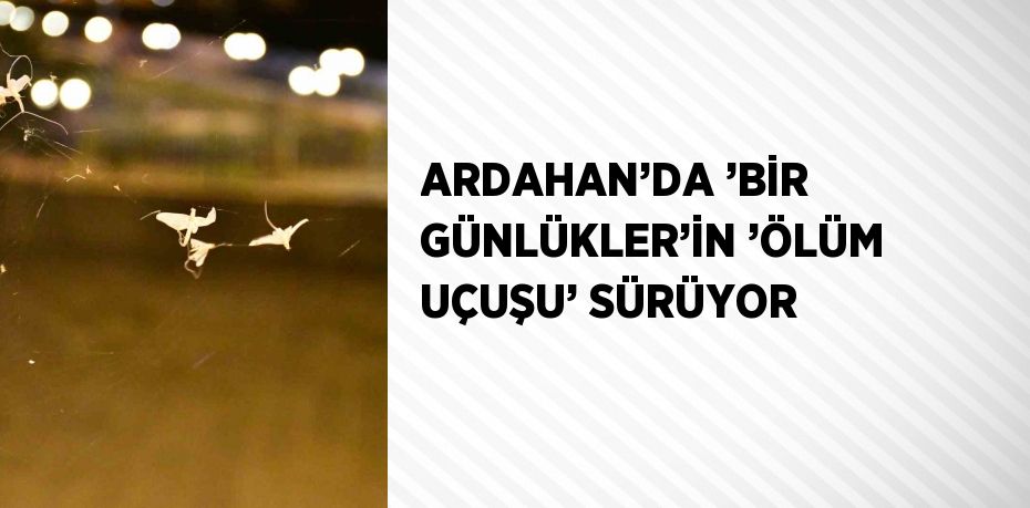 ARDAHAN’DA ’BİR GÜNLÜKLER’İN ’ÖLÜM UÇUŞU’ SÜRÜYOR