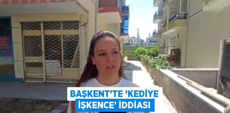 BAŞKENT’TE ’KEDİYE İŞKENCE’ İDDİASI