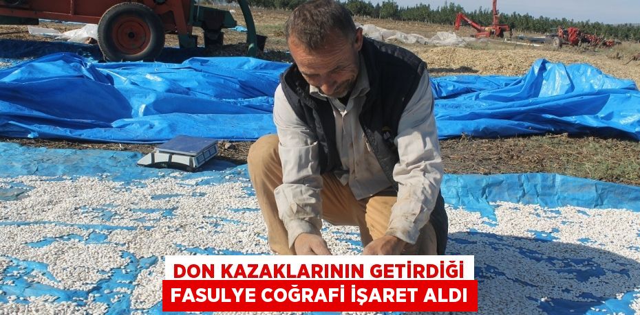 Don Kazaklarının getirdiği fasulye coğrafi işaret aldı