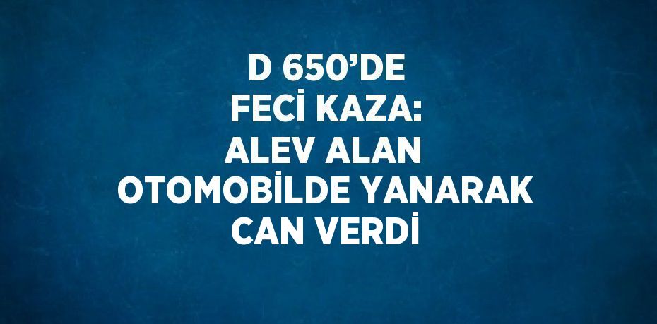 D 650’DE FECİ KAZA: ALEV ALAN OTOMOBİLDE YANARAK CAN VERDİ