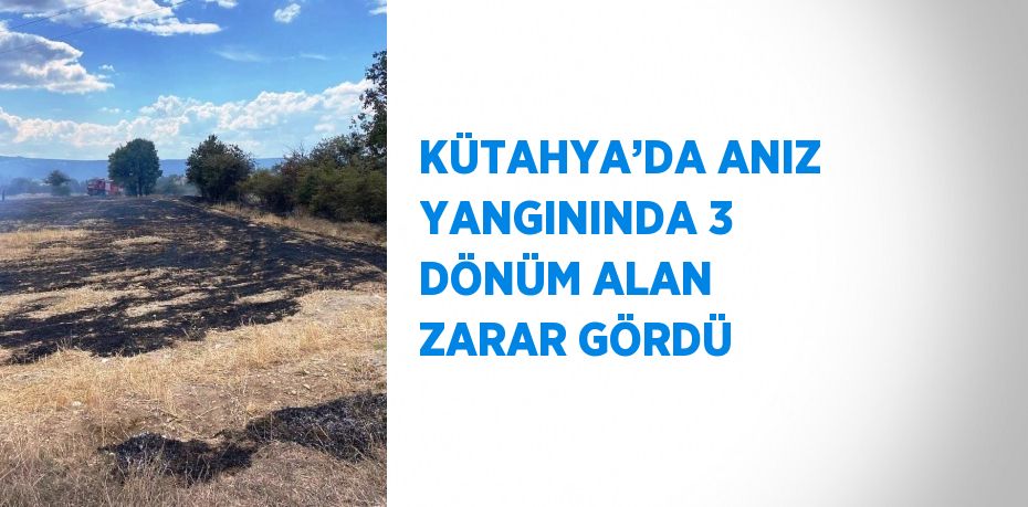 KÜTAHYA’DA ANIZ YANGININDA 3 DÖNÜM ALAN ZARAR GÖRDÜ