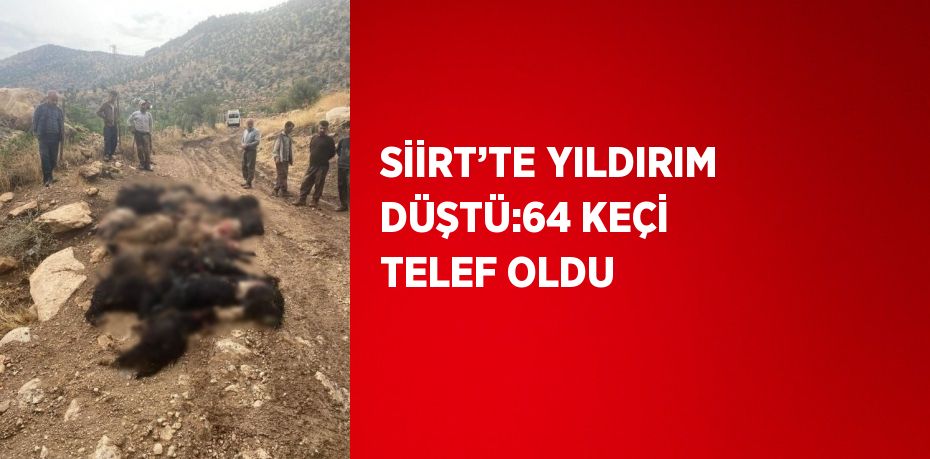 SİİRT’TE YILDIRIM DÜŞTÜ:64 KEÇİ TELEF OLDU