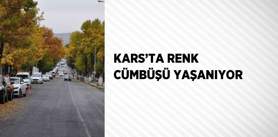 KARS’TA RENK CÜMBÜŞÜ YAŞANIYOR